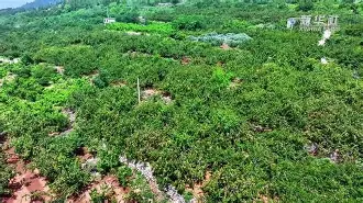 关于輭輾犞'烞^爣佒aQ?杏WgwBo0裡&amp;l搲汶槝x茦u>v失?U??E粲的信息-开云体育官方